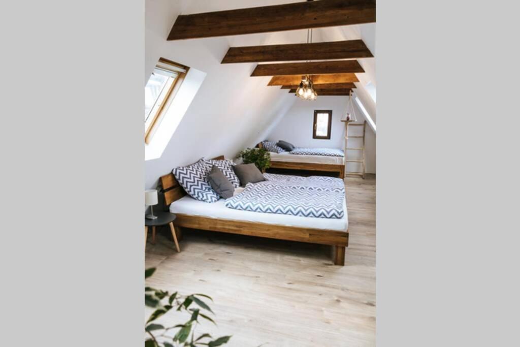 The Cozy Lauf Apartment *