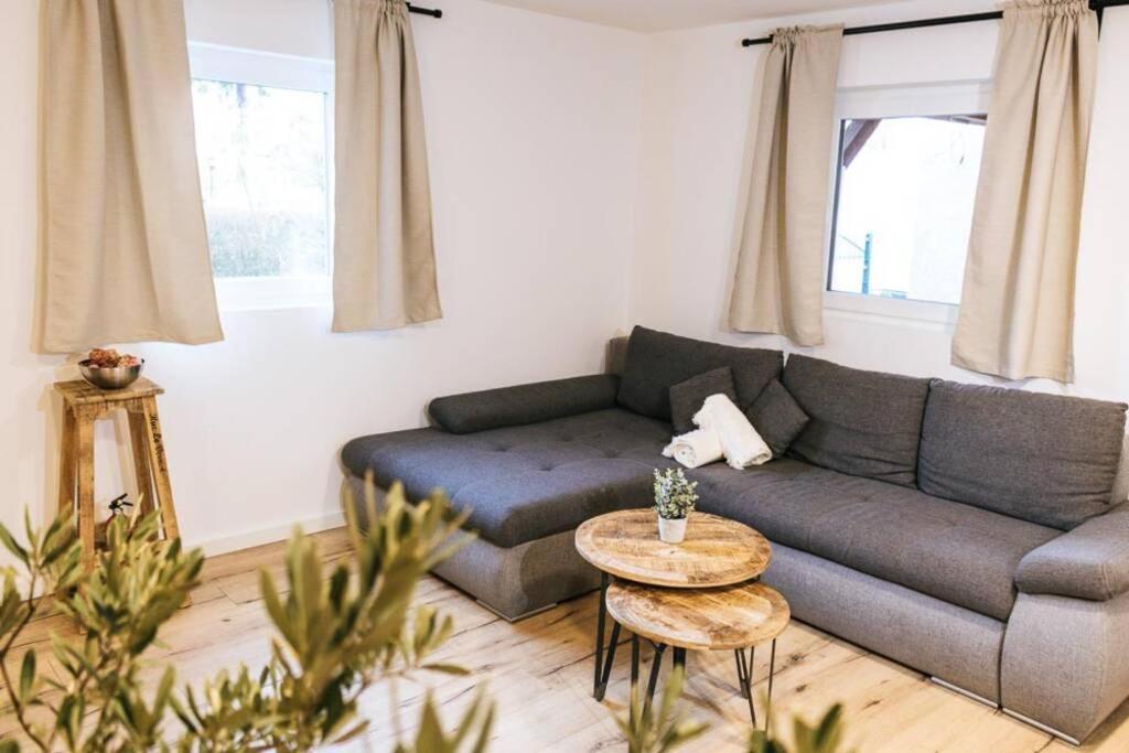 Apartment The Cozy Lauf *